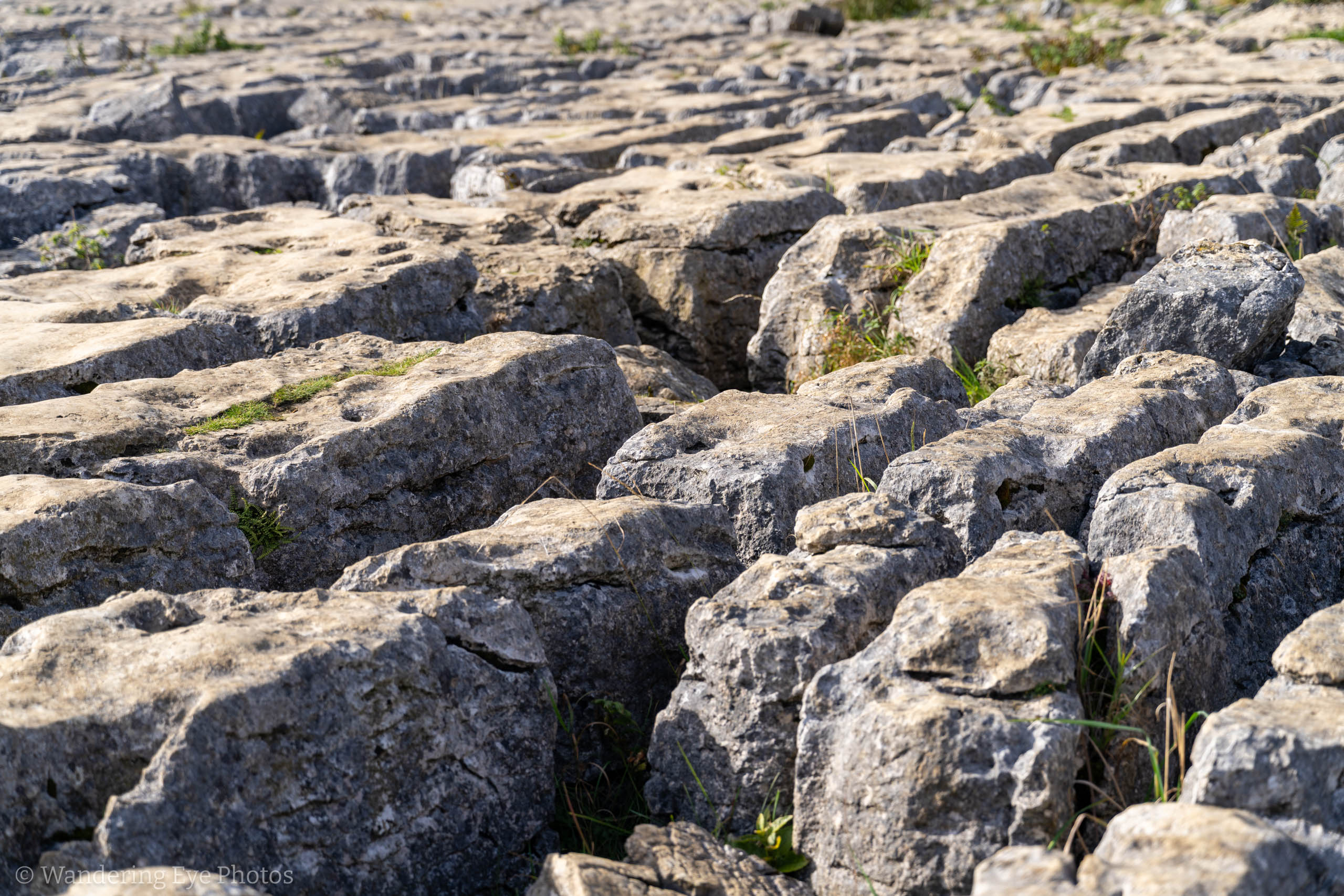 09.28 11.10.00   DSC04054